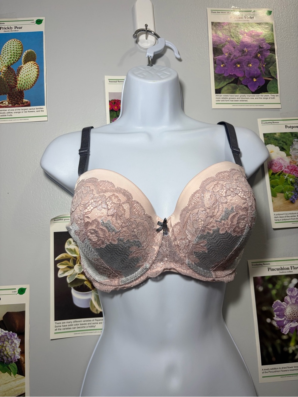 Victoria's Secret Pink and Gray Lace Push-Up Bra